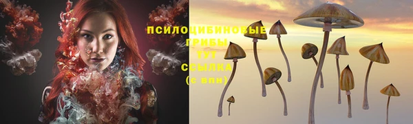 2c-b Аркадак
